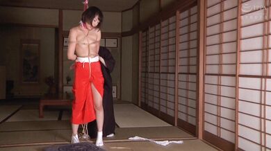 TNH-018 Haruki Yukimura Inheritance Bondage Vol.1 Yua Nanami Spring Evening / Dirty Beast Love - Himuro Eve