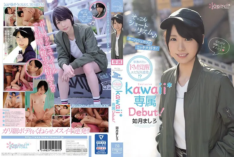 poster image
