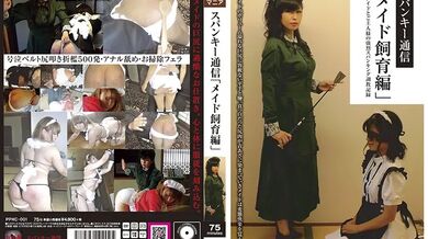 PPHC-001 Spanky Communication "Maid Breeding Edition" Ai Sakaki Mayo Sakura - Sakaki Ai
