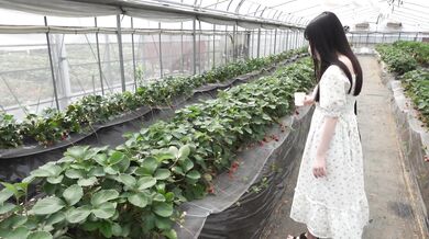 FC2-PPV-4485193 首次拍攝 /外觀！呢限制3天！呢美麗的皮膚，閃耀白色和透明的白色桃子G杯美麗的大山雀重磅炸彈身體...呢
