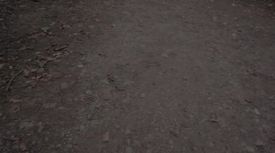 FC2-PPV-4057763 [Uncensored x Amateur Footage] I had my first semi-outdoor anal threesome with my fuck buddy at an abandoned hospital! One creampie in the ass and one in the pussy! The cum dripping out of her ass is way too erotic.