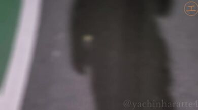 FC2-PPV-3189034 【個人】 立入禁止の先には。。。元下着モデルで尻のラインが良すぎる奥さんは、無職旦那のせいで大きなクリを成敗。汁を垂れ流し欲求不満を解消する。