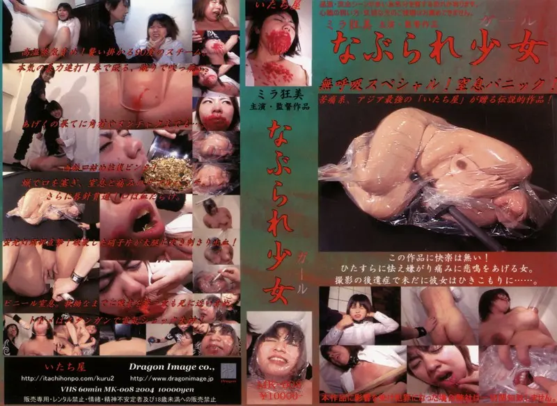 poster image