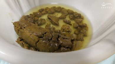 KBMS-125 I took a picture of Akane-san's poop