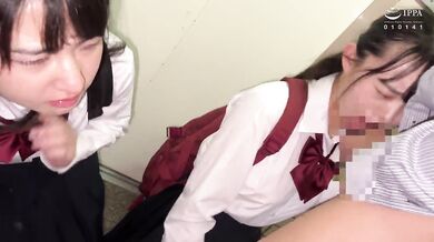 STSK-110 school trip bullying