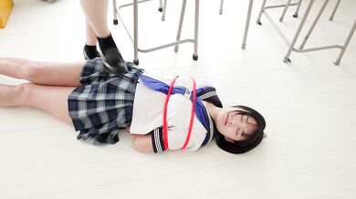 SBMO-01268 Raised by M/Keiko Hosoda 555 1