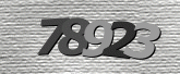 Imej captcha