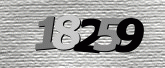 Imej captcha