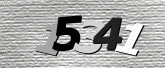 Imej captcha
