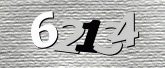 Imej captcha