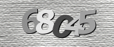 Imej captcha