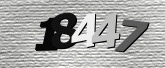 Imej captcha