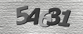 Imej captcha