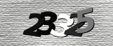 Imej captcha