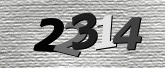 Imej captcha