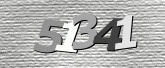 Imej captcha