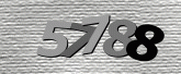 Imej captcha