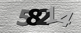 Imej captcha