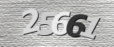 Imej captcha