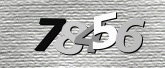 Imej captcha