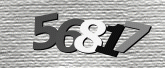 Imej captcha