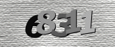Imej captcha