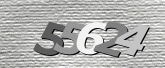 Imej captcha