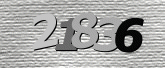 Imej captcha