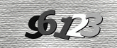Imej captcha