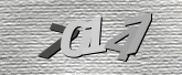 Imej captcha